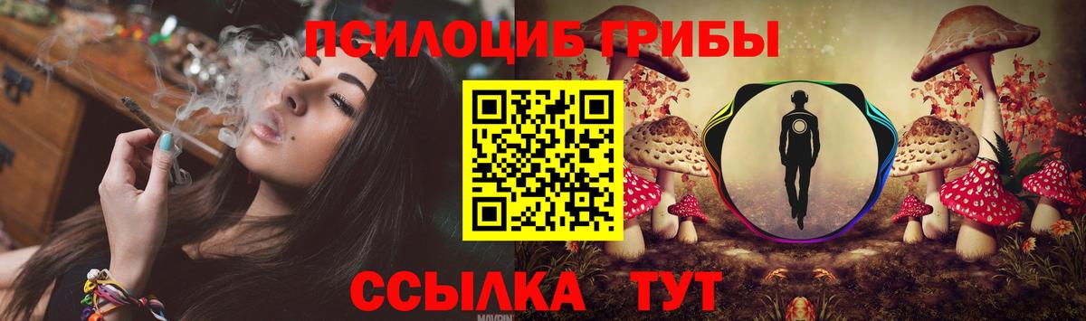 Псилоцибиновые грибы мицелий  Галлюциногенные грибы Magic Shrooms  Амурск  Вход с VPN 